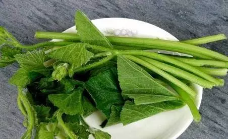 這種菜被醫生稱為「萬能菜」,葉子能護肝臟、去結石、治胃痛、還能戒菸癮!千萬別扔掉