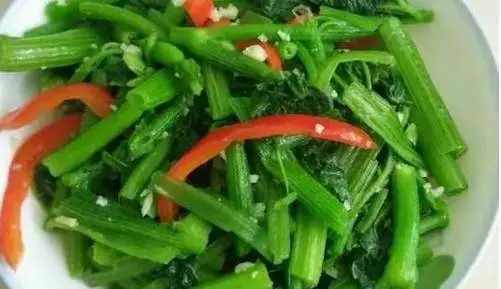 這種菜被醫生稱為「萬能菜」,葉子能護肝臟、去結石、治胃痛、還能戒菸癮!千萬別扔掉
