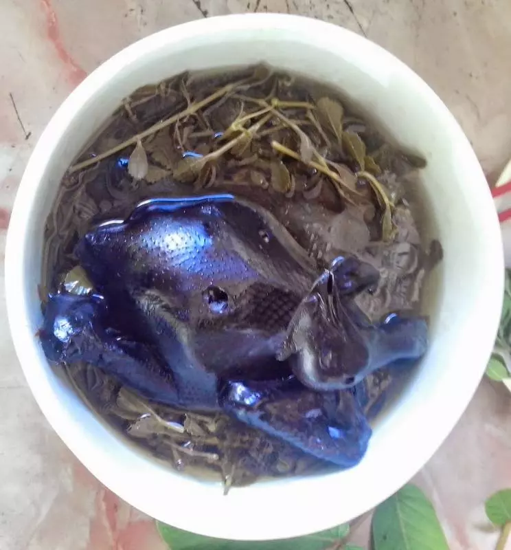 不是猛龍不過江,它是糖尿病爛腿者的救星,並曾救回一對糖尿病患母子的爛腿