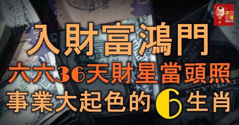 入財富鴻門!六六36天財星當頭照,事業大起色的6大生肖!