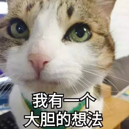 看完這8個養貓真相,你還想養貓嗎?