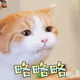 看完這8個養貓真相,你還想養貓嗎?