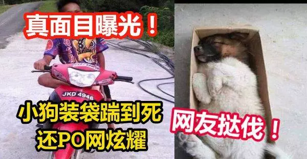小狗裝袋踹到死 ,還PO網炫耀 !男子殘忍行徑引網友撻伐