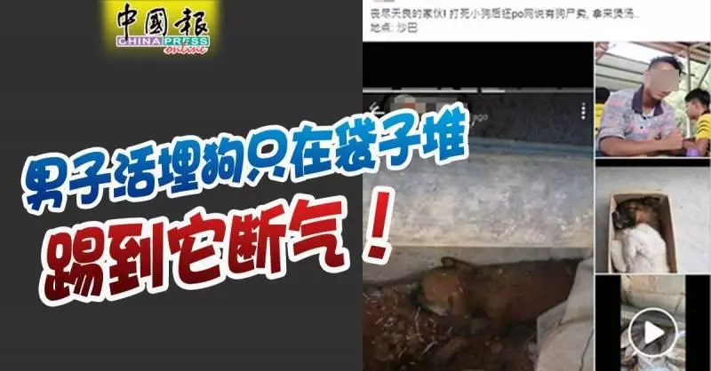 小狗裝袋踹到死 ,還PO網炫耀 !男子殘忍行徑引網友撻伐
