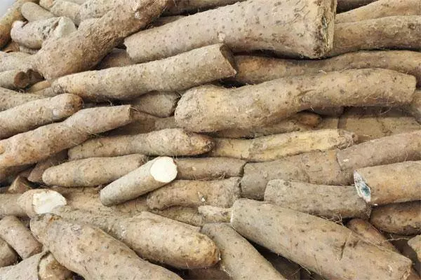 脾不好易生痰?多吃4「白」,做好3事,利水化痰,脾更健康!