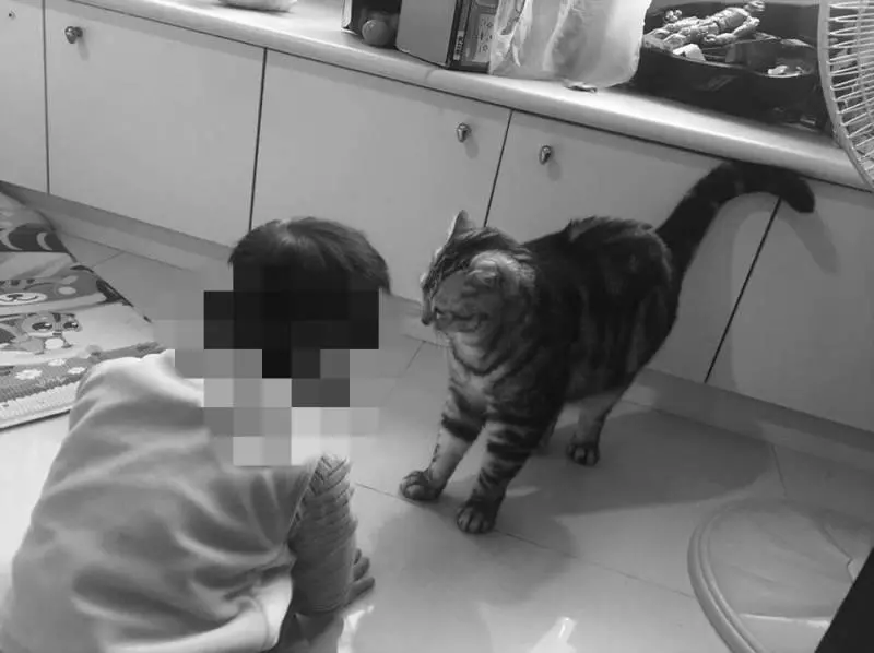 2歲男童遭餓死!生母老家直擊驚見恐怖真相!