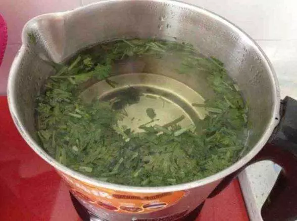 香菜拿來敷臉,女人一定要試一試