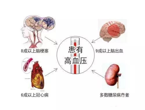 高血壓用它泡茶喝,能根治!秘方大公開,送給需要的人!