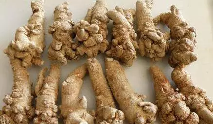 補藥吃一堆,不如每天一勺這個粉!調節血脂、血糖、血壓 ~ 更能預防多種病症哦!