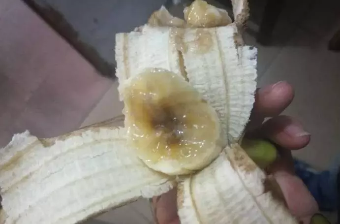 吃了十幾年的香蕉,原來吃的都是蟲,得知真相後我淚流滿面!