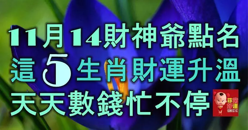11月14財神爺點名,這5大生肖財運升溫,天天數錢忙不停!