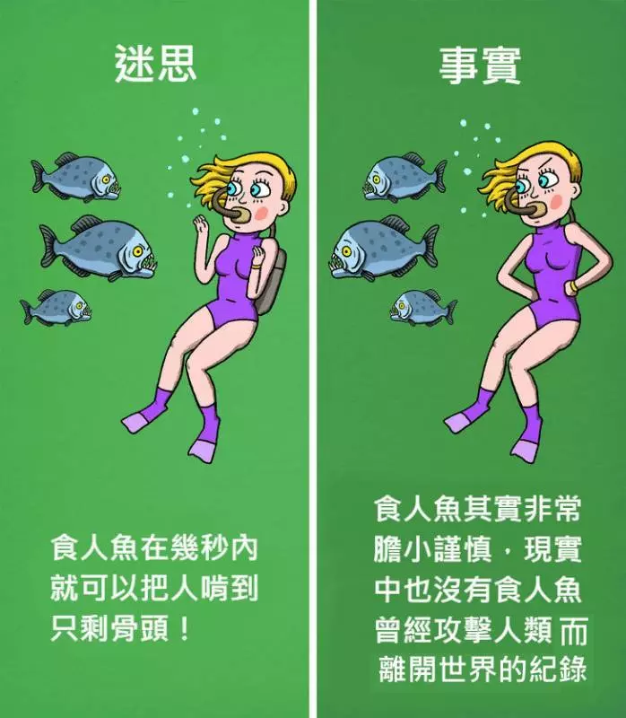 12個「被好萊塢耍得團團轉」的錯誤電影迷思!#4 食人魚「比你想像中膽小」遇到根本不用怕