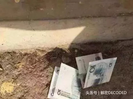 路上遇到這10種東西千萬別帶回家,最忌諱了