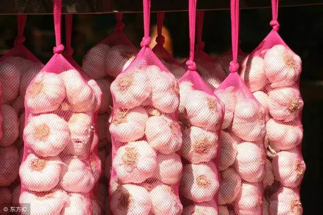 保存大蒜原來這麼簡單,放上一年都不會發芽,可惜很多人都不知道