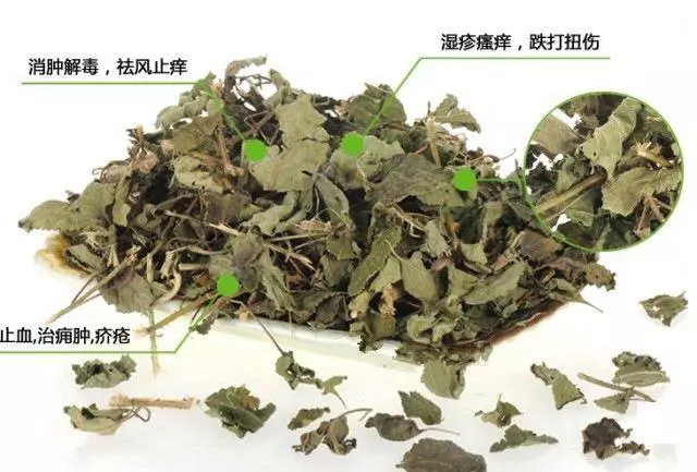 慢性濕疹瘙癢難忍,太痛苦怎麼辦?一種草藥就能解決,只需幾塊錢!