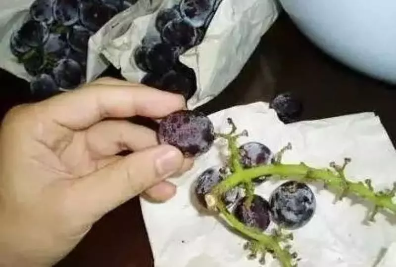 只用水洗不幹淨的,葡萄應該用它清洗