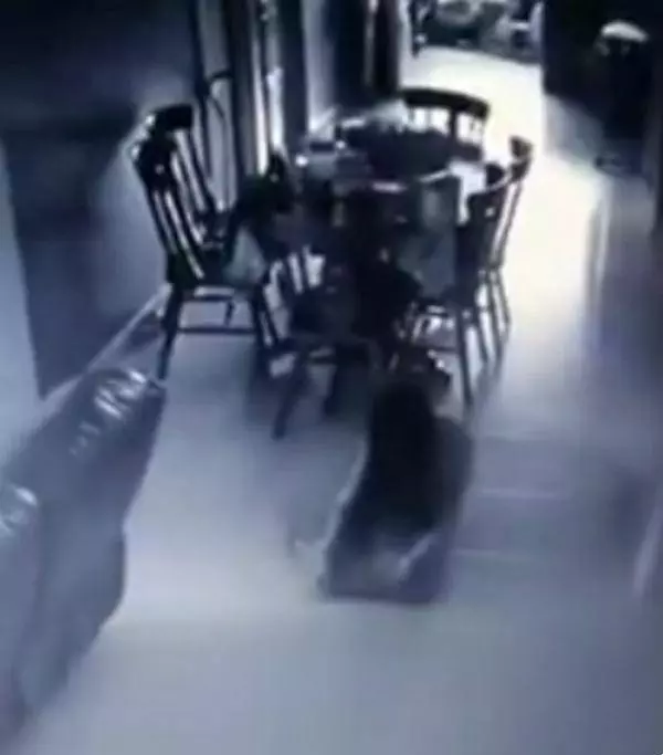 她在閉路電視上看到女傭「被鬼附身」的畫面,接下來「女傭做的事」差點把僱主嚇尿了!