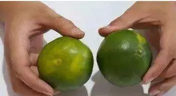 把食鹽和橘子皮放一起,能省不少錢,男人女人都可以用