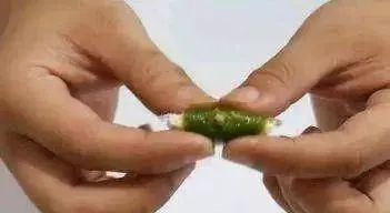 把食鹽和橘子皮放一起,能省不少錢,男人女人都可以用