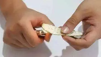 把食鹽和橘子皮放一起,能省不少錢,男人女人都可以用