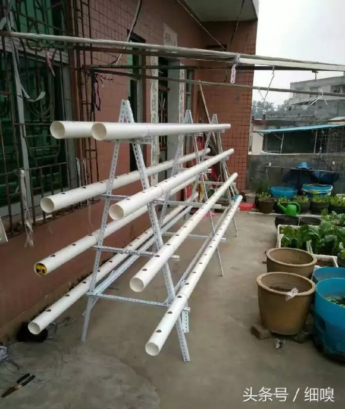 老漢打造種菜神器,不要土不要肥,菜菜吃不完,看傻鄰居