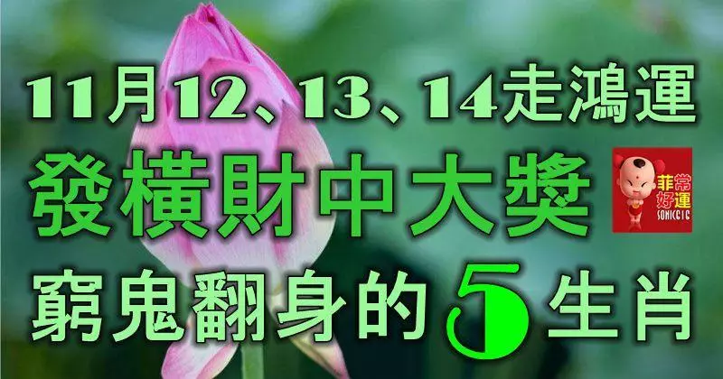 11月12、13、14號走鴻運,發橫財中大獎,窮鬼翻身的5大生肖!