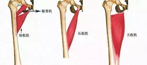 每天原地「青蛙式」50次,20天全身瘦下來,比跑步效果好,腰肩不僵硬,舒服多了