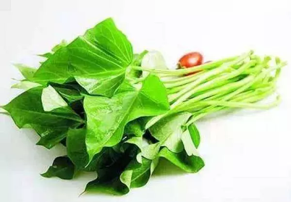 吃番薯葉的好處,番薯葉這樣炒才正確