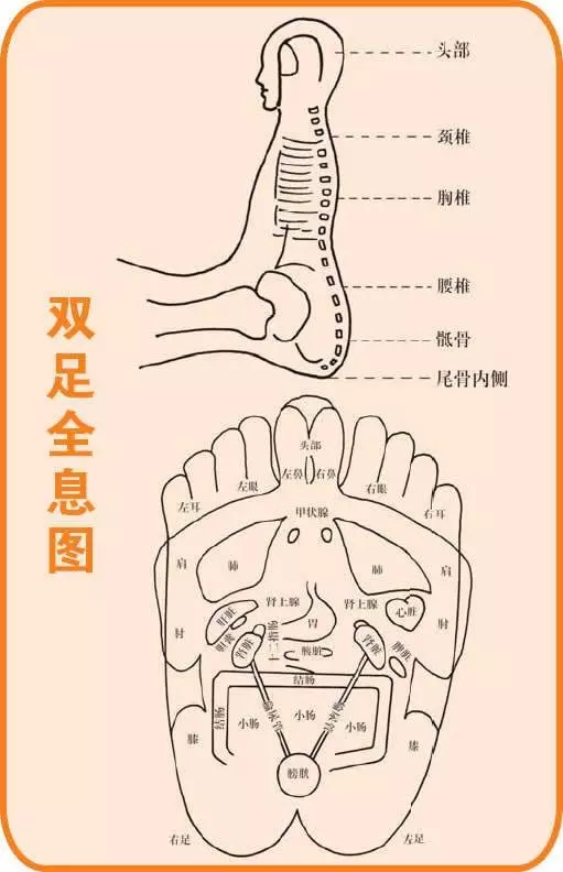 頭痛、喉嚨痛、閃到腰、改善更年期狀態等,常見病痛的穴位按摩大全,收藏起來