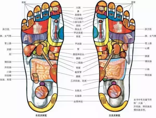 頭痛、喉嚨痛、閃到腰、改善更年期狀態等,常見病痛的穴位按摩大全,收藏起來