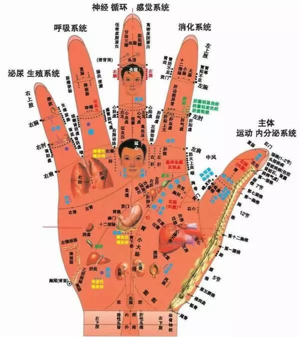 頭痛、喉嚨痛、閃到腰、改善更年期狀態等,常見病痛的穴位按摩大全,收藏起來