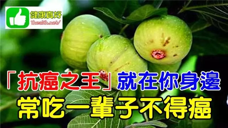 【抗癌之王】就在你身邊!一斤才 4 塊錢,常吃一輩子不得癌哦!