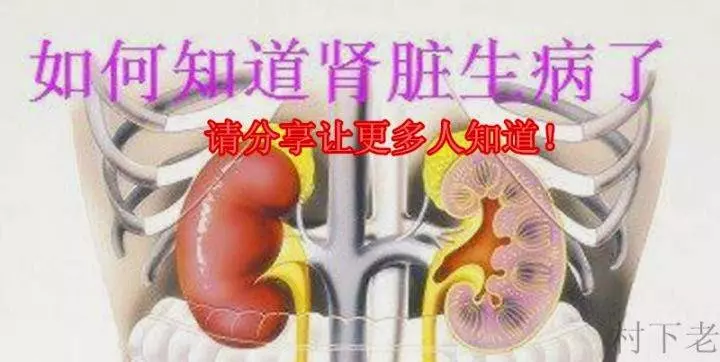 【 水龜草 】 治療「腎病」與「尿酸」!從此不需再洗腎!一次轉發,救人無數!