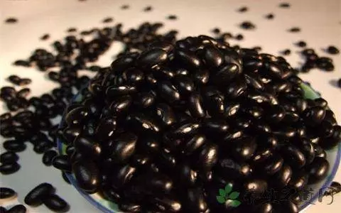 神奇的黑豆水!每天 3 大杯,一個月竟然瘦了 4.2 公斤!(內附黑豆水自製法,超簡單!)