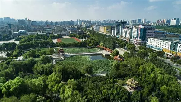 沙漠變良田!中國陝北毛烏素沙漠換新貌成「森林」,前無古人壯舉!聯合國的關注