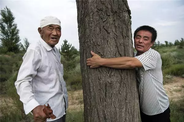 沙漠變良田!中國陝北毛烏素沙漠換新貌成「森林」,前無古人壯舉!聯合國的關注