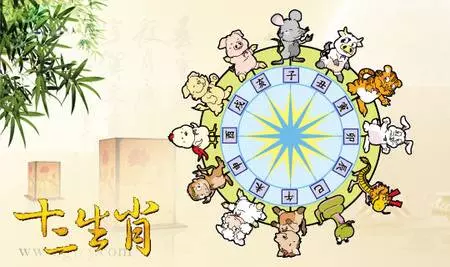 太準了!十二生肖性格大解析