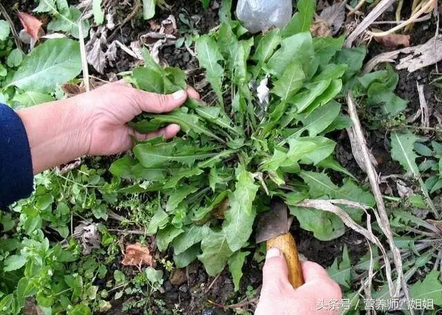 肝癌不痛不癢?但發現已是晚期,多留意手上這3種症狀,就能救你的命!