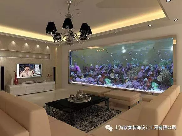 魚缸擺放的風水學!