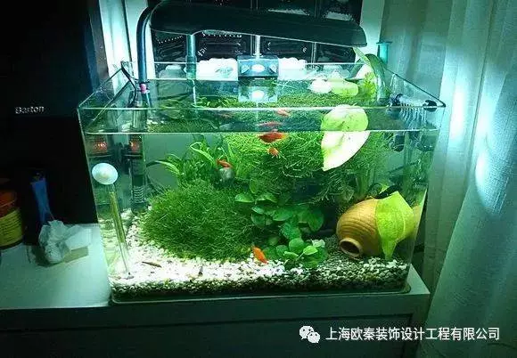 魚缸擺放的風水學!