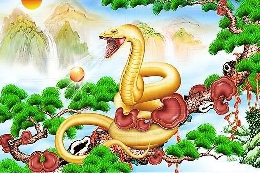 年末更有錢的6生肖,橫財就在手邊,欠債全還清,往後幾十年再也不受窮!