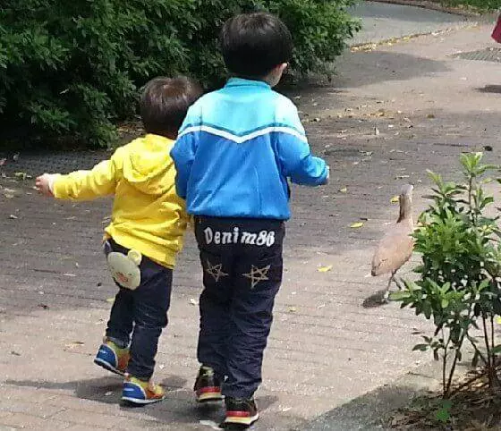 孩子脾氣大、愛打人都是家長慣的?大錯特錯,可能是大腦刺激不滿足!
