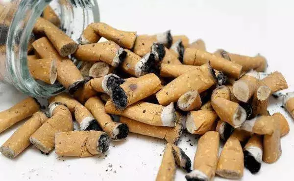 3分鐘自製殺蟲劑,幾毛錢一大桶,害蟲一掃而光!