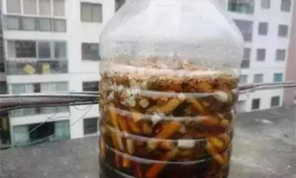 3分鐘自製殺蟲劑,幾毛錢一大桶,害蟲一掃而光!
