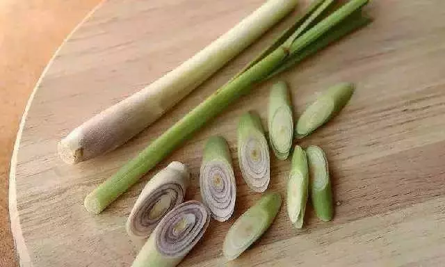 膝蓋痛的走不了路?學會這個方法,讓你的膝蓋軟骨重生!