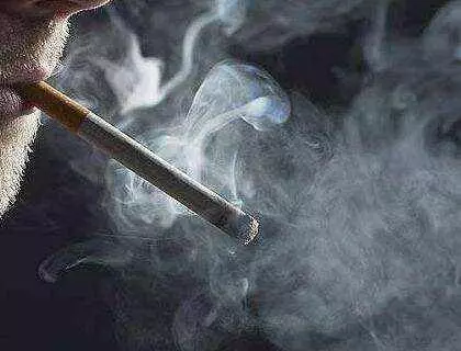家有「菸民」要注意,養這3盆花,空氣清新更健康!
