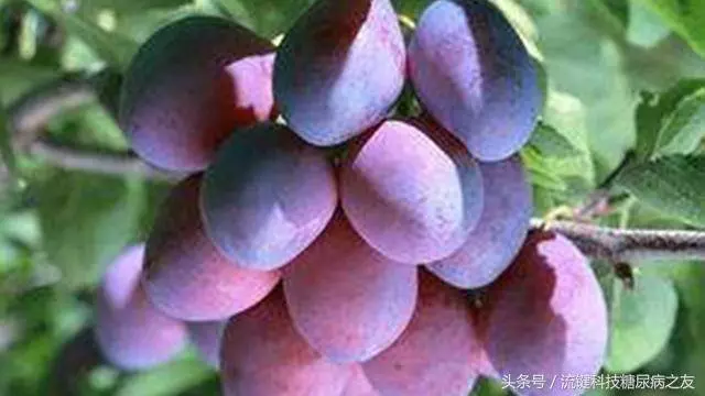 「真實個案」劉先生出差半年,每天飲烏梅汁,盡然治好了糖尿病!