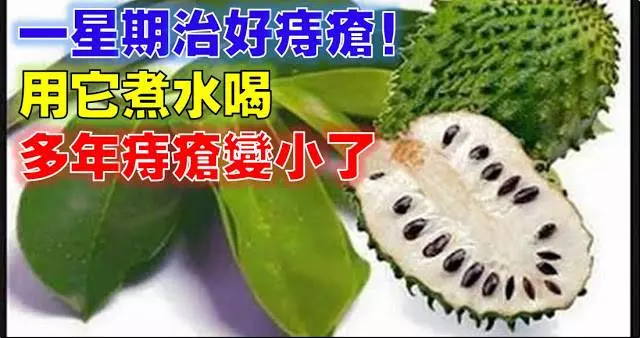 用它煮水喝,多年痔瘡竟然變小了!7 天治好痔瘡!