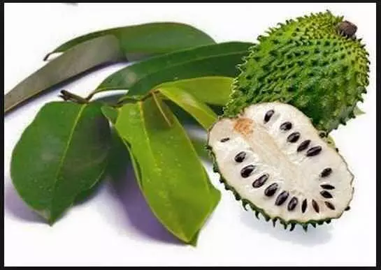 用它煮水喝,多年痔瘡竟然變小了!7 天治好痔瘡!