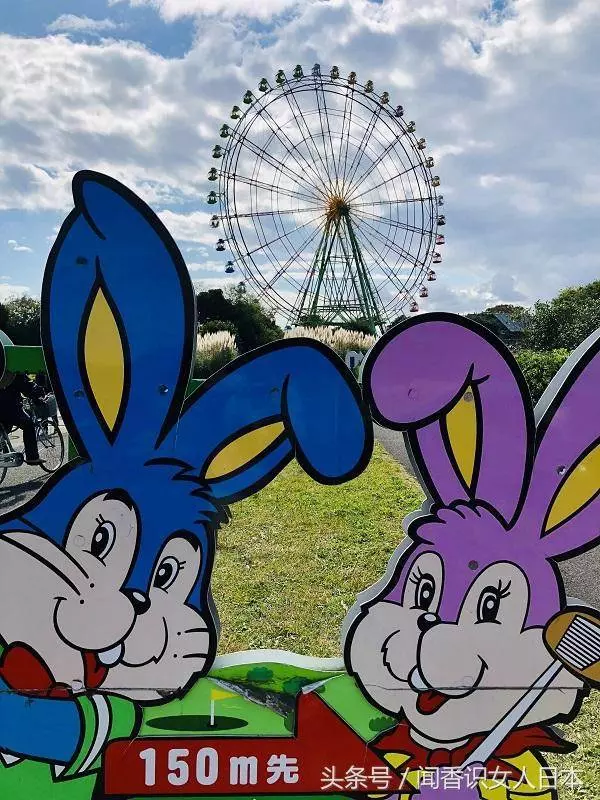 秋天的日本已經變成了一片花海